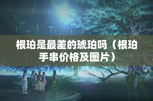 根珀是最差的琥珀吗（根珀手串价格及图片）