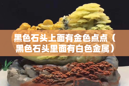 黑色石头上面有金色点点（黑色石头里面有白色金属）