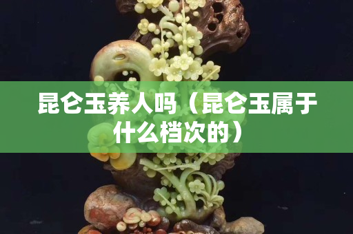昆仑玉养人吗（昆仑玉属于什么档次的）