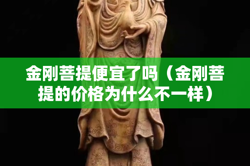 金刚菩提便宜了吗（金刚菩提的价格为什么不一样）