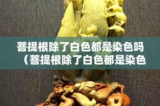 菩提根除了白色都是染色吗（菩提根除了白色都是染色吗图片）