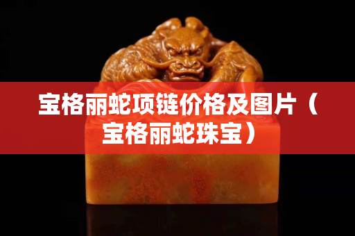 宝格丽蛇项链价格及图片（宝格丽蛇珠宝）