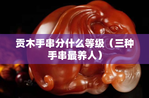 贡木手串分什么等级（三种手串最养人）