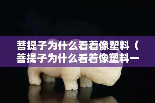 菩提子为什么看着像塑料（菩提子为什么看着像塑料一样）