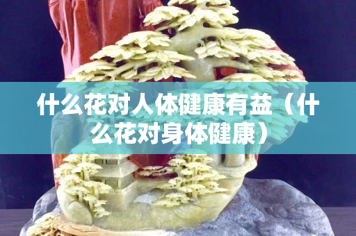 什么花对人体健康有益（什么花对身体健康）
