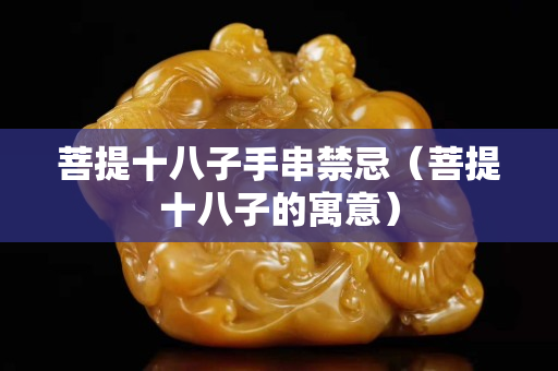 菩提十八子手串禁忌（菩提十八子的寓意）