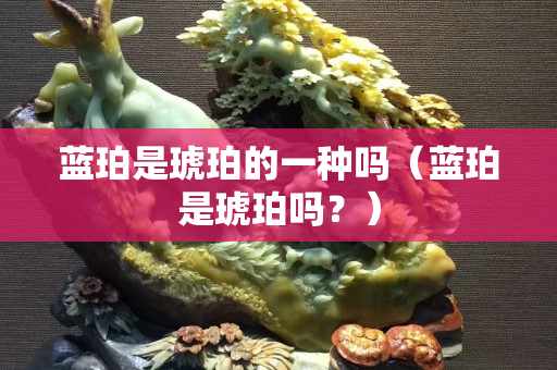 蓝珀是琥珀的一种吗（蓝珀是琥珀吗？）
