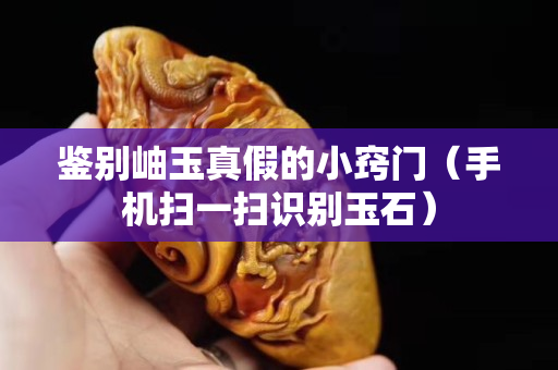 鉴别岫玉真假的小窍门（手机扫一扫识别玉石）