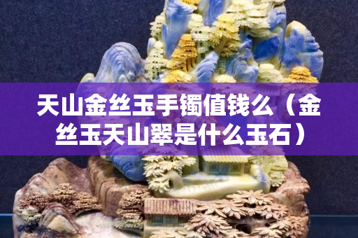 天山金丝玉手镯值钱么（金丝玉天山翠是什么玉石）