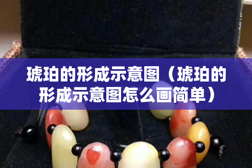 琥珀的形成示意图（琥珀的形成示意图怎么画简单）