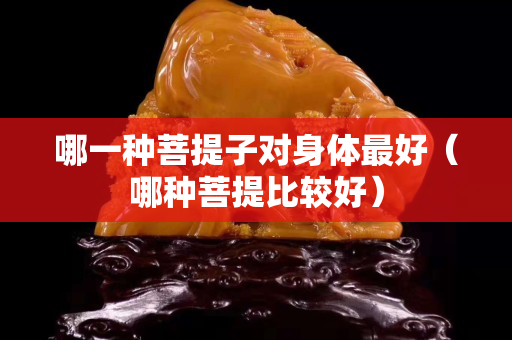 哪一种菩提子对身体最好（哪种菩提比较好）