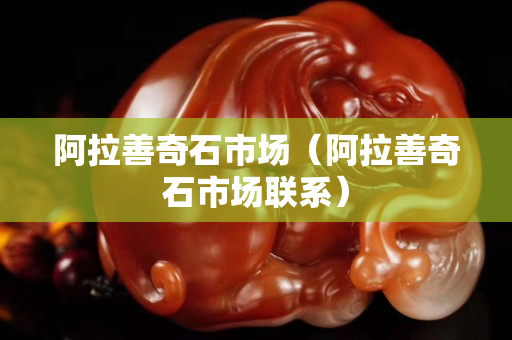 阿拉善奇石市场（阿拉善奇石市场联系）