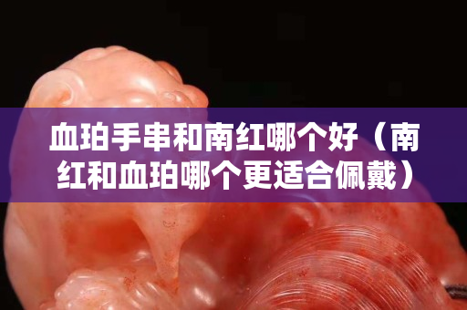 血珀手串和南红哪个好（南红和血珀哪个更适合佩戴）