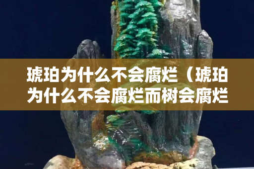 琥珀为什么不会腐烂（琥珀为什么不会腐烂而树会腐烂）