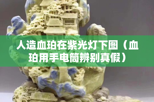 人造血珀在紫光灯下图（血珀用手电筒辨别真假）