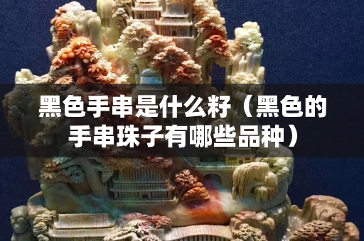 黑色手串是什么籽（黑色的手串珠子有哪些品种）