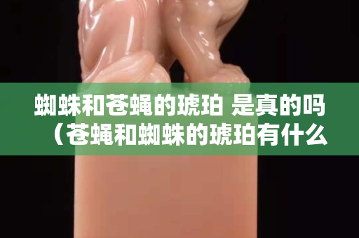 蜘蛛和苍蝇的琥珀 是真的吗（苍蝇和蜘蛛的琥珀有什么科学价值）