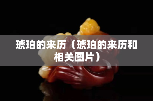 琥珀的来历（琥珀的来历和相关图片）