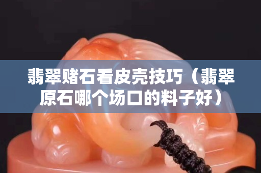 翡翠赌石看皮壳技巧（翡翠原石哪个场口的料子好）