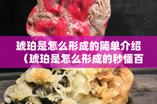 琥珀是怎么形成的简单介绍（琥珀是怎么形成的秒懂百科）