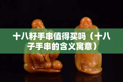 十八籽手串值得买吗（十八子手串的含义寓意）