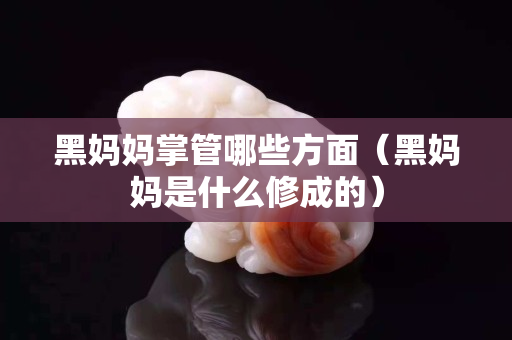 黑妈妈掌管哪些方面（黑妈妈是什么修成的）