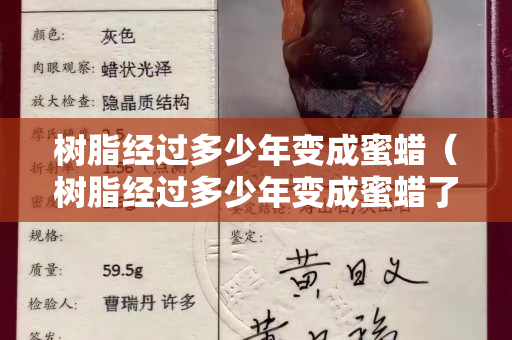 树脂经过多少年变成蜜蜡（树脂经过多少年变成蜜蜡了）