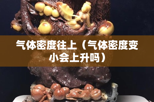 气体密度往上（气体密度变小会上升吗）