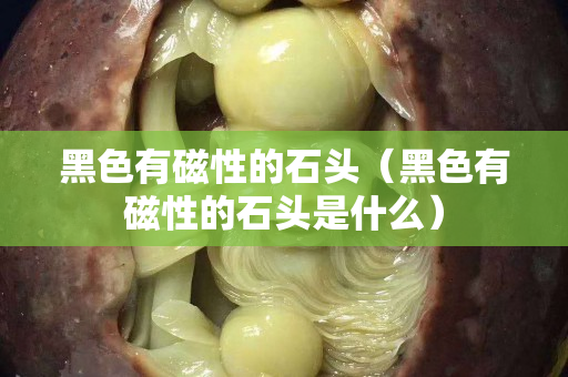 黑色有磁性的石头（黑色有磁性的石头是什么）