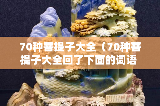 70种菩提子大全（70种菩提子大全回了下面的词语 用动作描写他）