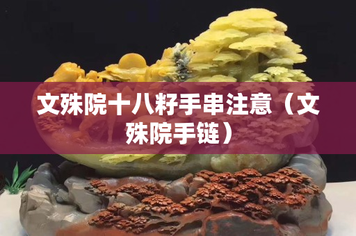 文殊院十八籽手串注意（文殊院手链）