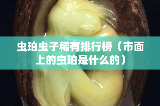 虫珀虫子稀有排行榜（市面上的虫珀是什么的）