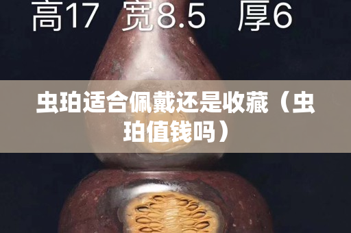 虫珀适合佩戴还是收藏（虫珀值钱吗）