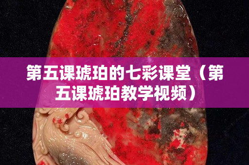 第五课琥珀的七彩课堂（第五课琥珀教学视频）