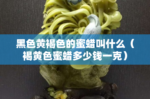 黑色黄褐色的蜜蜡叫什么（褐黄色蜜蜡多少钱一克）