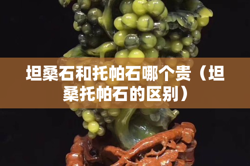 坦桑石和托帕石哪个贵（坦桑托帕石的区别）