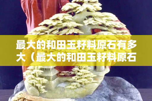 最大的和田玉籽料原石有多大（最大的和田玉籽料原石图片）
