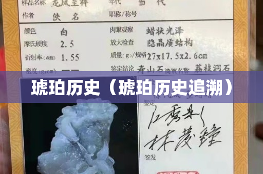 琥珀历史（琥珀历史追溯）
