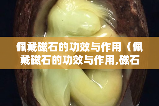 佩戴磁石的功效与作用（佩戴磁石的功效与作用,磁石项链的副作用）