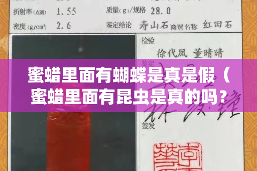 蜜蜡里面有蝴蝶是真是假（蜜蜡里面有昆虫是真的吗？）