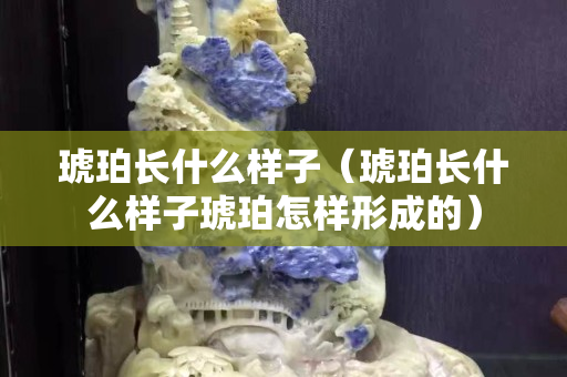 琥珀长什么样子（琥珀长什么样子琥珀怎样形成的）