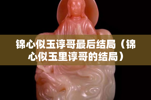 锦心似玉谆哥最后结局（锦心似玉里谆哥的结局）