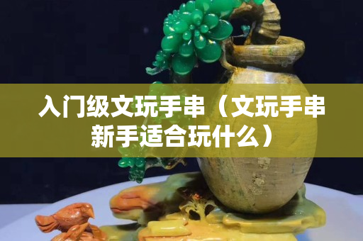 入门级文玩手串（文玩手串新手适合玩什么）
