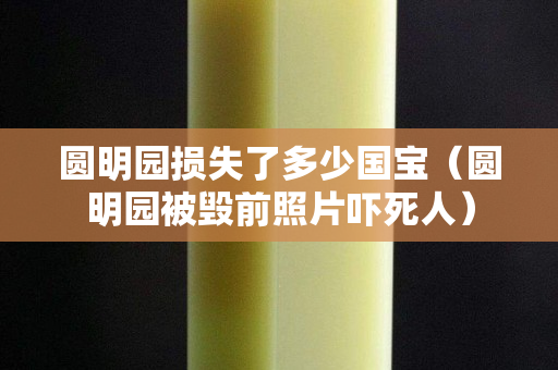 圆明园损失了多少国宝（圆明园被毁前照片吓死人）