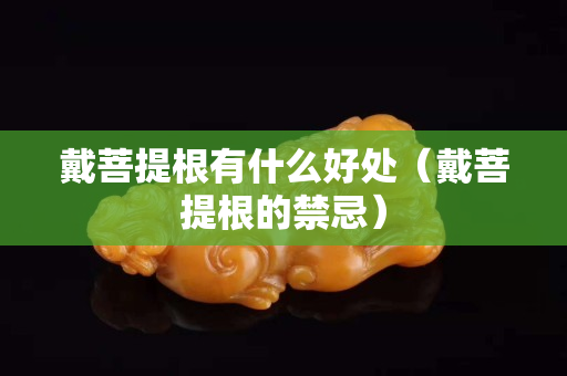 戴菩提根有什么好处（戴菩提根的禁忌）