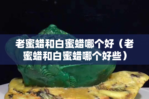 老蜜蜡和白蜜蜡哪个好（老蜜蜡和白蜜蜡哪个好些）