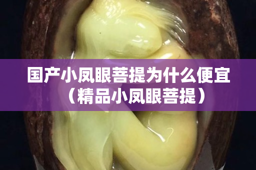 国产小凤眼菩提为什么便宜（精品小凤眼菩提）