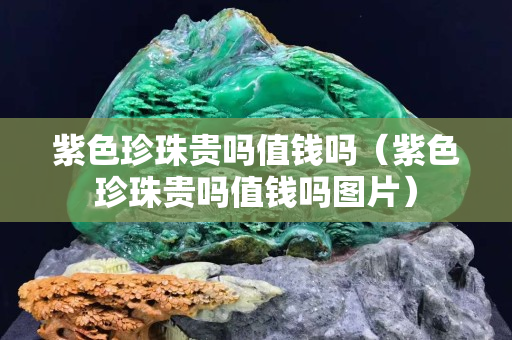 紫色珍珠贵吗值钱吗（紫色珍珠贵吗值钱吗图片）