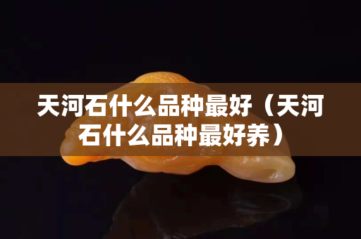 天河石什么品种最好（天河石什么品种最好养）