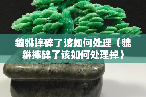 貔貅摔碎了该如何处理（貔貅摔碎了该如何处理掉）